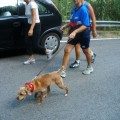 Caricamento in corso...