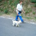 Caricamento in corso...