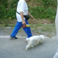 Caricamento in corso...