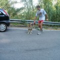 Caricamento in corso...