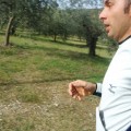 Caricamento in corso...