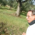 Caricamento in corso...