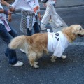 Caricamento in corso...