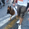 Caricamento in corso...