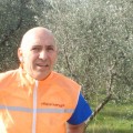 Caricamento in corso...