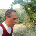 Caricamento in corso...