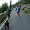 Caricamento in corso...