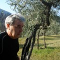 Caricamento in corso...
