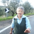Caricamento in corso...