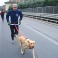 Caricamento in corso...