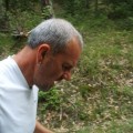 Caricamento in corso...