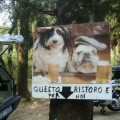 Caricamento in corso...