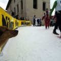 Caricamento in corso...