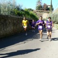 Caricamento in corso...