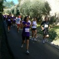 Caricamento in corso...