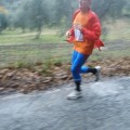Caricamento in corso...