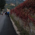 Caricamento in corso...