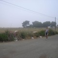 Caricamento in corso...