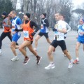 Caricamento in corso...
