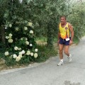 Caricamento in corso...
