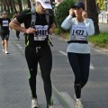 Caricamento in corso...