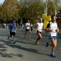 Caricamento in corso...