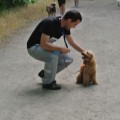 Caricamento in corso...