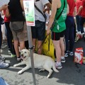 Caricamento in corso...