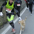 Caricamento in corso...
