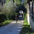 Caricamento in corso...