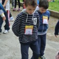 Caricamento in corso...