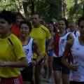 Caricamento in corso...