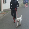 Caricamento in corso...