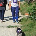 Caricamento in corso...