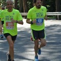 Caricamento in corso...