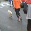 Caricamento in corso...