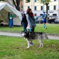 Caricamento in corso...