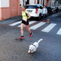 Caricamento in corso...