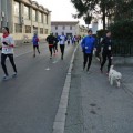 Caricamento in corso...