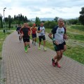 Caricamento in corso...