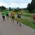 Caricamento in corso...