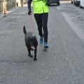 Caricamento in corso...