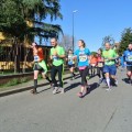 Caricamento in corso...
