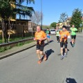 Caricamento in corso...