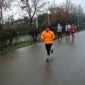 Caricamento in corso...