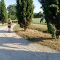 Caricamento in corso...