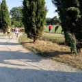 Caricamento in corso...