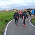 Caricamento in corso...