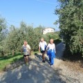 Caricamento in corso...