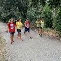Caricamento in corso...